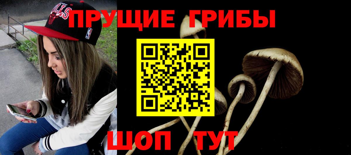 Омск  Галлюциногенные грибы GOLDEN TEACHER  наркотики  Вход с VPN  Галлюциногенные грибы мицелий 