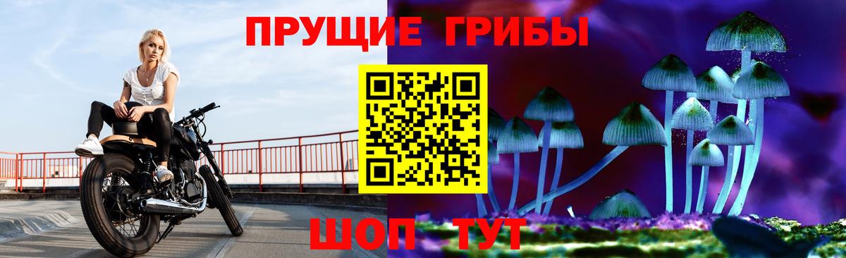 Псилоцибиновые грибы MAGIC MUSHROOMS Омск